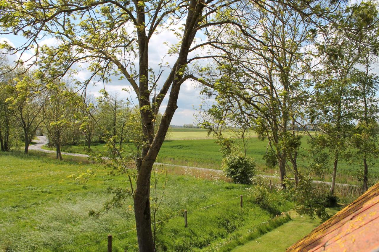 Ferienhaus Gross Popkenhausen Schillig Dış mekan fotoğraf